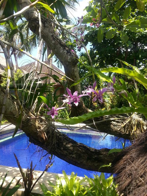 Sanur Beach Villas Экстерьер фото